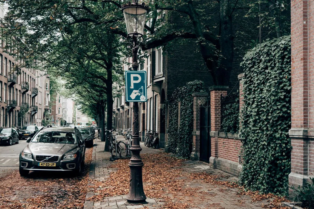 Wohnstraße mit Bäumen und parkenden Autos